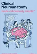 neuroanatomy-made