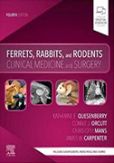 ferrets-rabbits-and-rodents