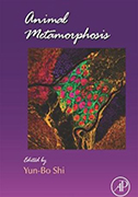 animal-metamorphosos