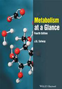 metabolism-at-a-glance