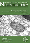 mitochondrial-dysfunction