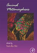 animal-metamorphosos