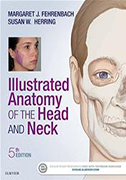 illustrated-anatomy