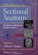 introduction-to-sectional