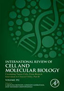 circulating-tumor-cells