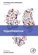hypothalamus