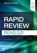 rapid-review